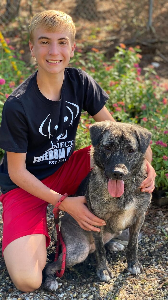 This 14-Year-Old Has Helped Save Over 5,000 Shelter Dogs (30 Pics)