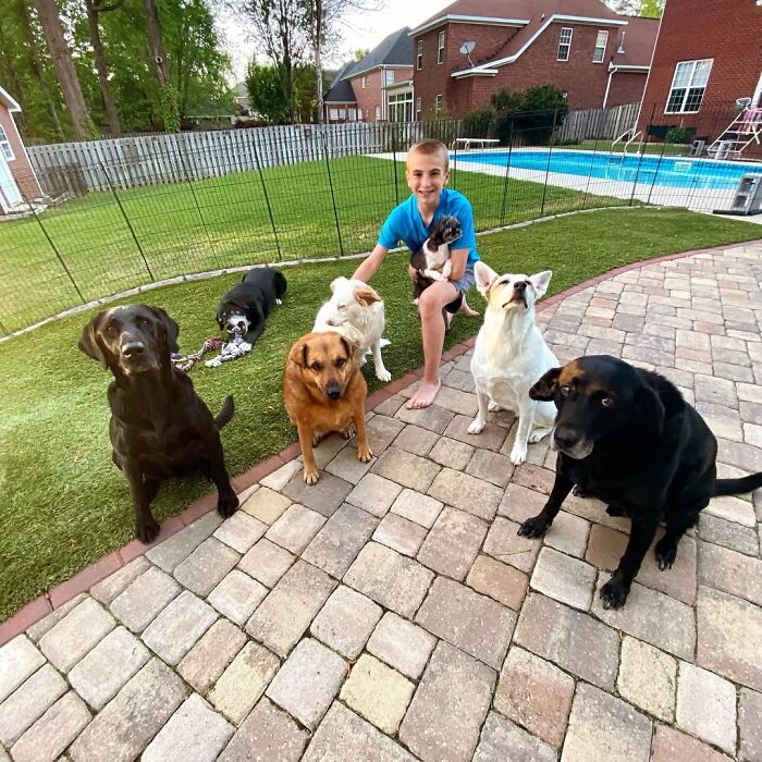 This 14-Year-Old Has Helped Save Over 5,000 Shelter Dogs (30 Pics)
