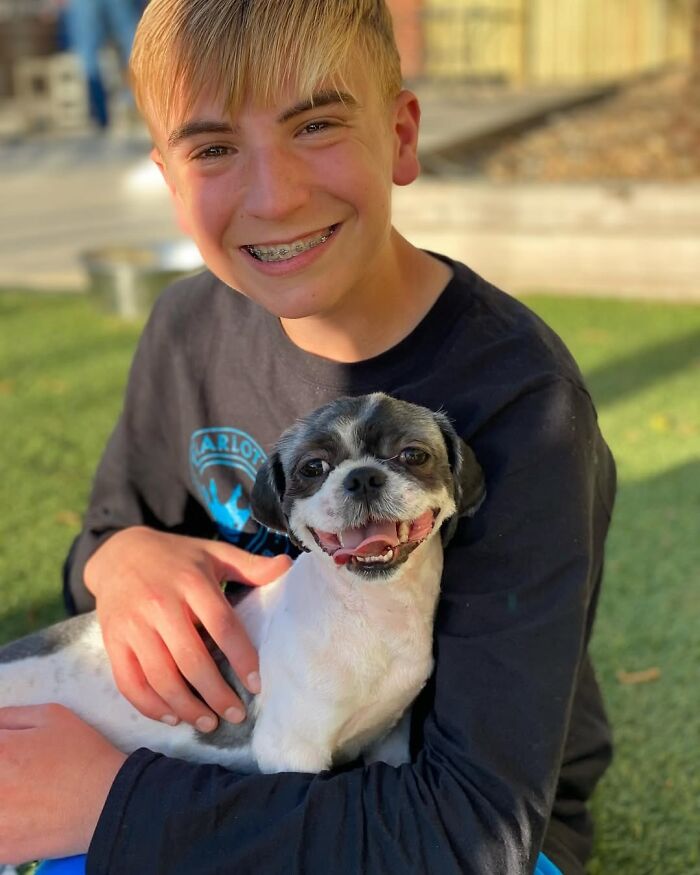 This 14-Year-Old Has Helped Save Over 5,000 Shelter Dogs (30 Pics)