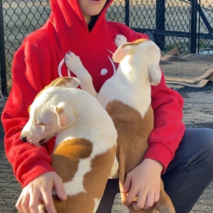 This 14-Year-Old Has Helped Save Over 5,000 Shelter Dogs (30 Pics)