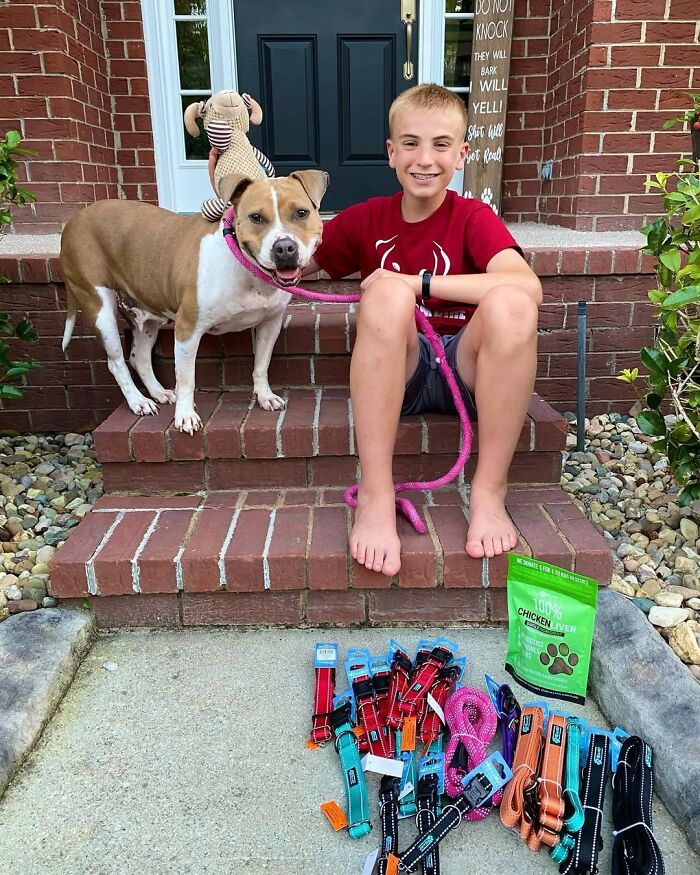 This 14-Year-Old Has Helped Save Over 5,000 Shelter Dogs (30 Pics)