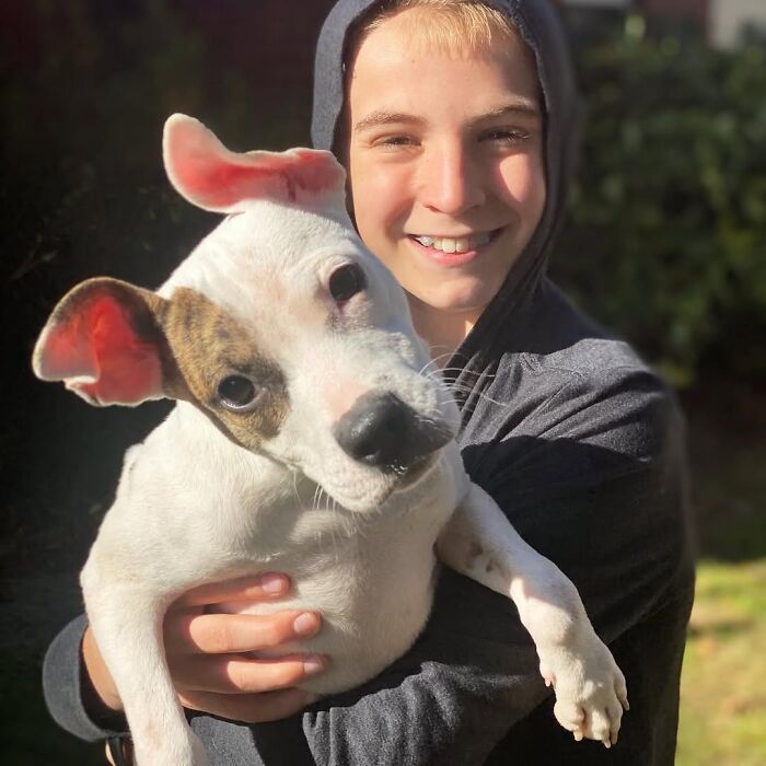 This 14-Year-Old Has Helped Save Over 5,000 Shelter Dogs (30 Pics)