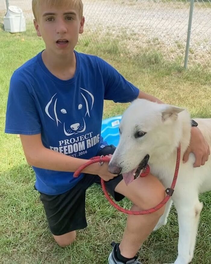 This 14-Year-Old Has Helped Save Over 5,000 Shelter Dogs (30 Pics)