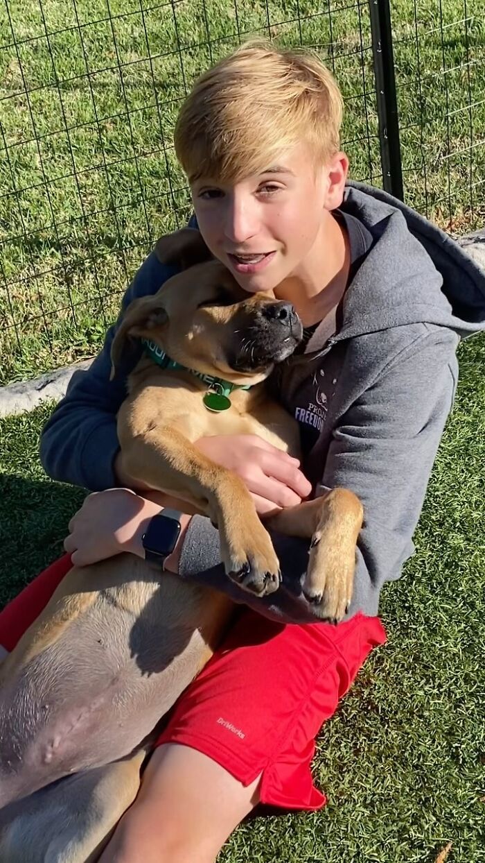 This 14-Year-Old Has Helped Save Over 5,000 Shelter Dogs (30 Pics)