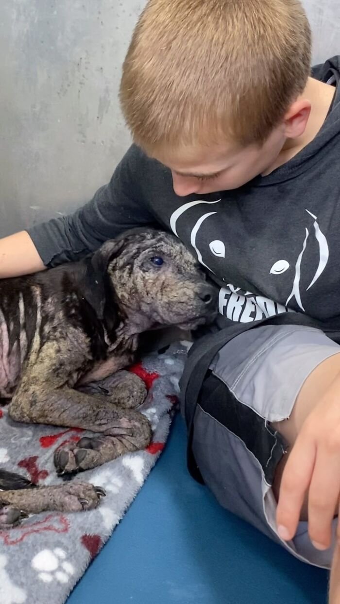 This 14-Year-Old Has Helped Save Over 5,000 Shelter Dogs (30 Pics)