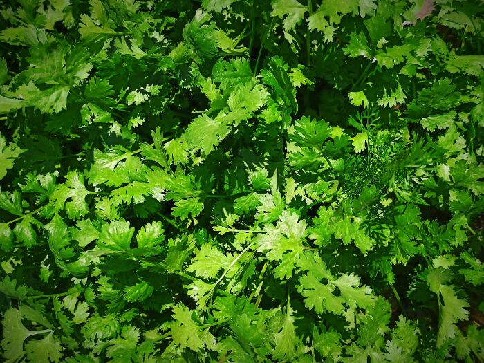 42 Immediate Ick Moments That Made People Rule Out Romance With A Person Completely 42 Immediate Ick Moments That Made People Rule Out Romance With A Person Completely