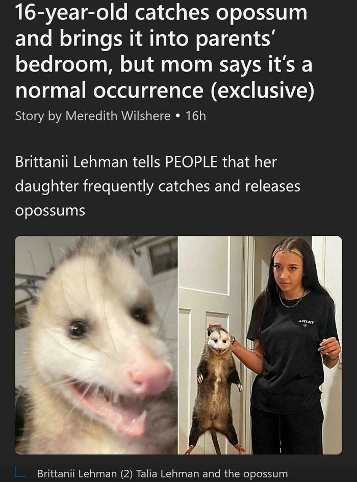 97 Unhinged Sentences That Came Out Of Nowhere And Left Everyone Speechless (New Pics)