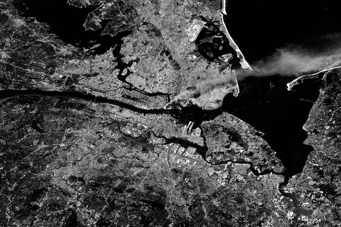 39 People Share The Most Interesting Rabbit Holes They’ve Ever Been Down 39 People Share The Most Interesting Rabbit Holes They’ve Ever Been Down