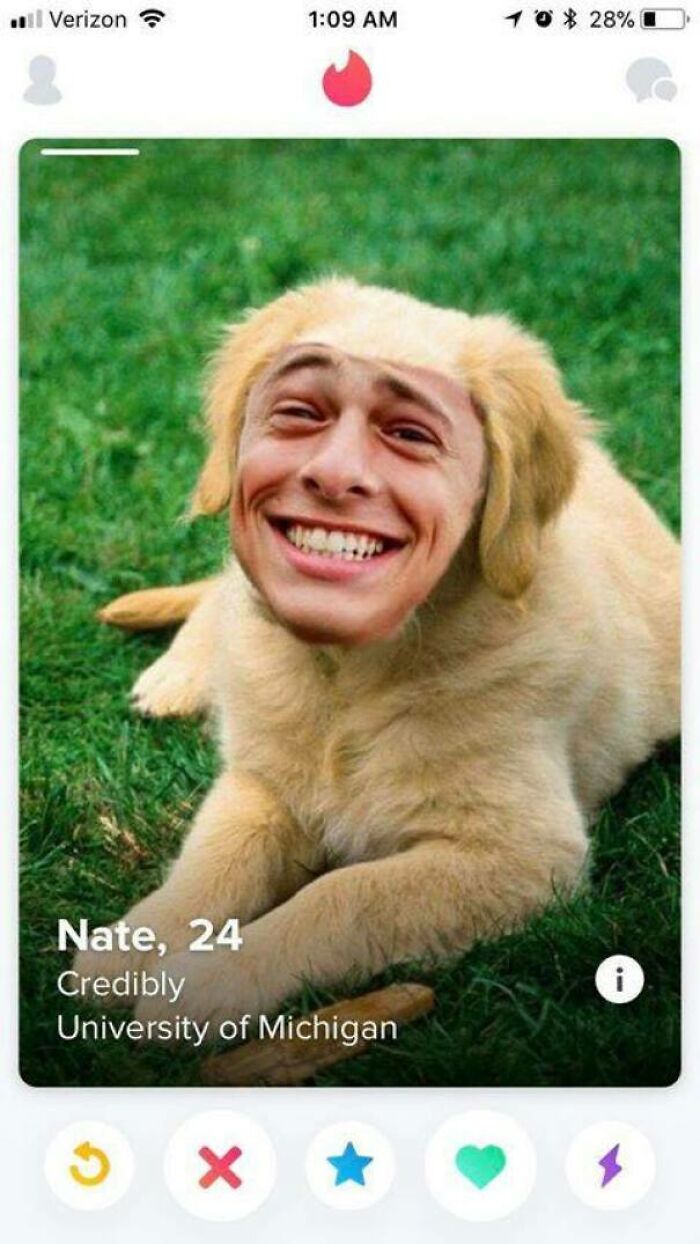 39 Tinder Profiles That Made People Laugh, Cringe, And Question Their Dating Life