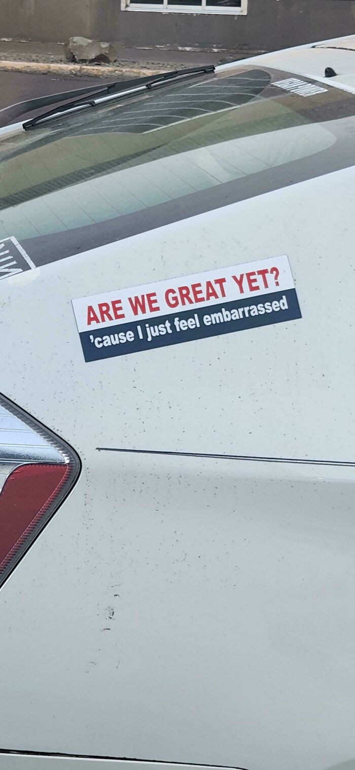 55 Times People Spotted The Most Hilarious And Unhinged Bumper Stickers Ever (New Pics)