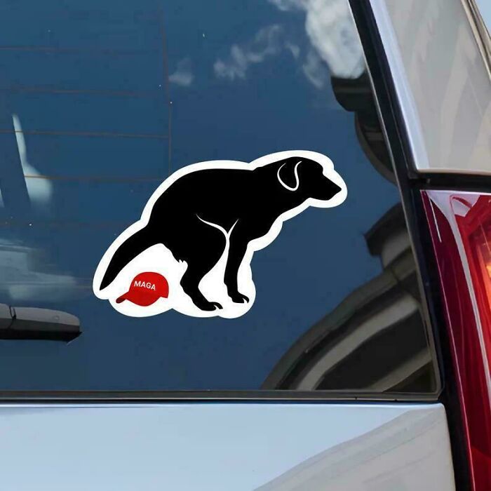 55 Times People Spotted The Most Hilarious And Unhinged Bumper Stickers Ever (New Pics)