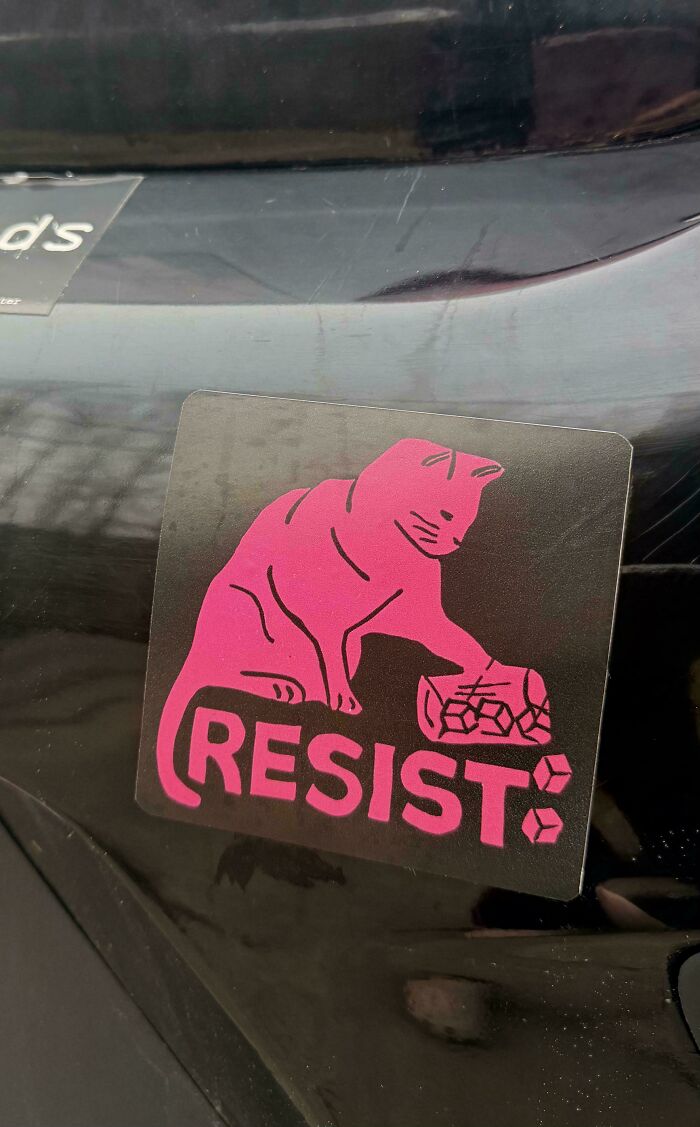 55 Times People Spotted The Most Hilarious And Unhinged Bumper Stickers Ever (New Pics)