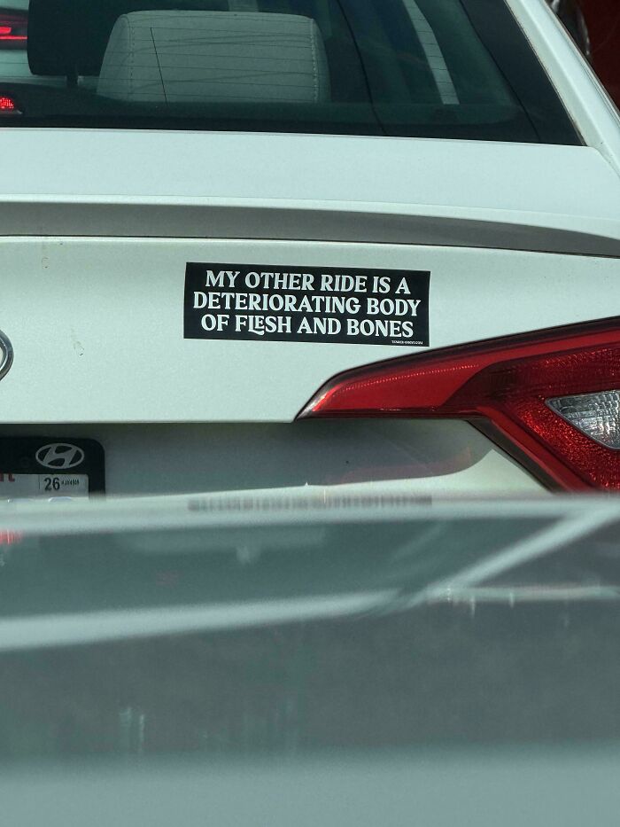 55 Times People Spotted The Most Hilarious And Unhinged Bumper Stickers Ever (New Pics)