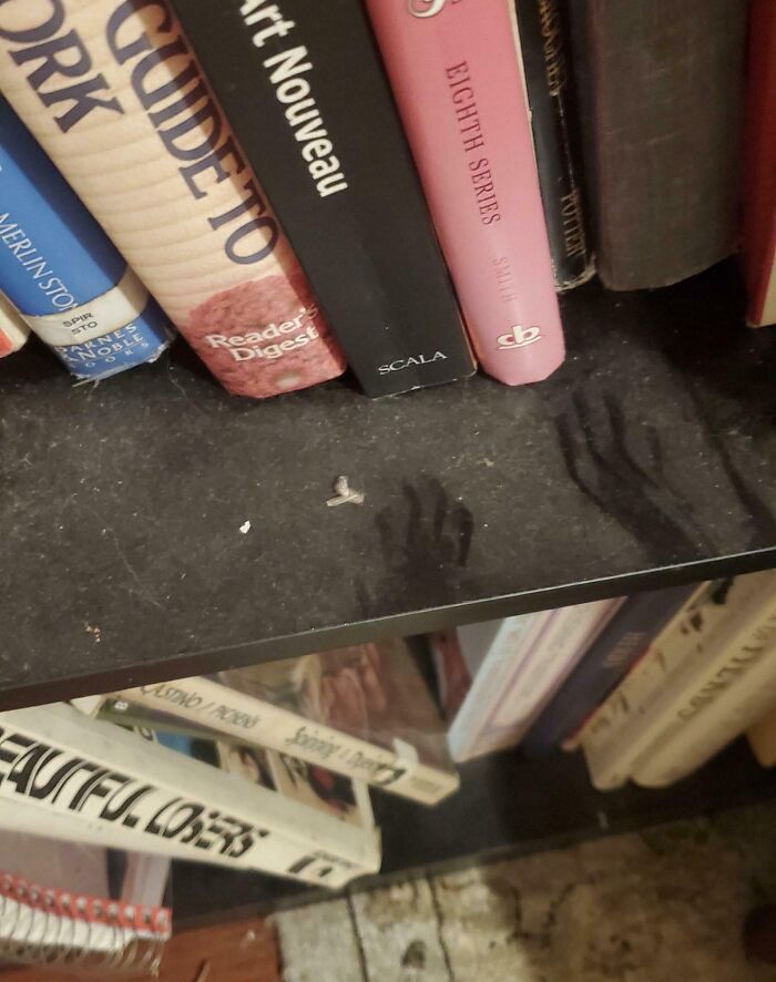 People Are Rethinking Their Decision To Move After Finding These 39 Creepy Things In Their New Homes (New Pics)