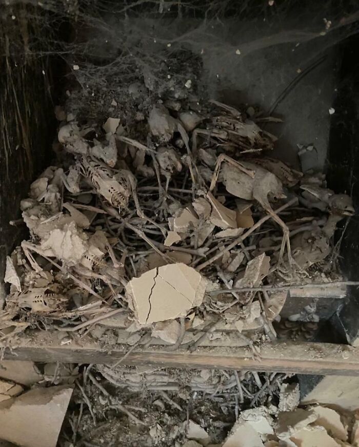 People Are Rethinking Their Decision To Move After Finding These 39 Creepy Things In Their New Homes (New Pics)