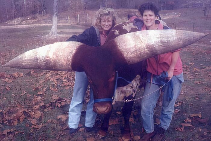 55 Huge Things You May Not Have Known Came In Such Big Sizes 55 Huge Things You May Not Have Known Came In Such Big Sizes