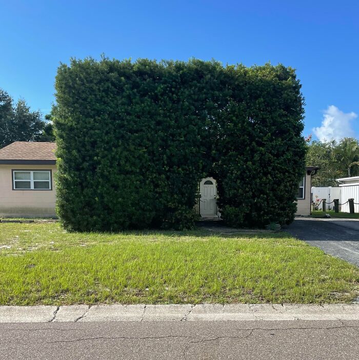 55 Huge Things You May Not Have Known Came In Such Big Sizes 55 Huge Things You May Not Have Known Came In Such Big Sizes