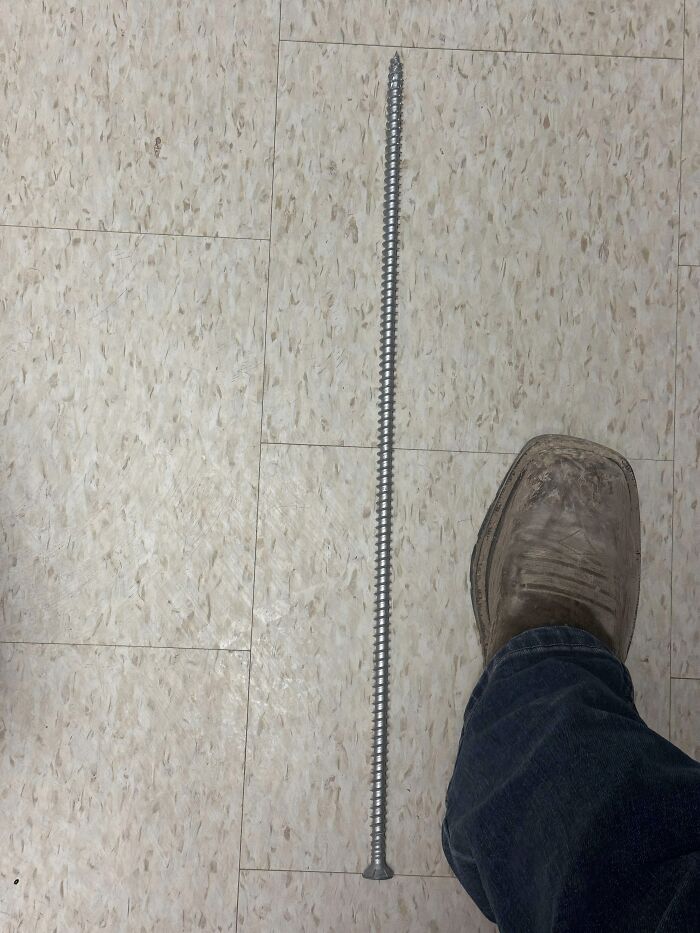 55 Huge Things You May Not Have Known Came In Such Big Sizes 55 Huge Things You May Not Have Known Came In Such Big Sizes