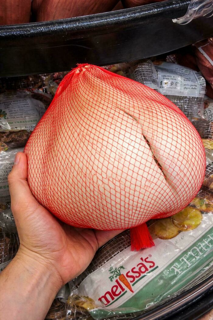 55 Huge Things You May Not Have Known Came In Such Big Sizes 55 Huge Things You May Not Have Known Came In Such Big Sizes