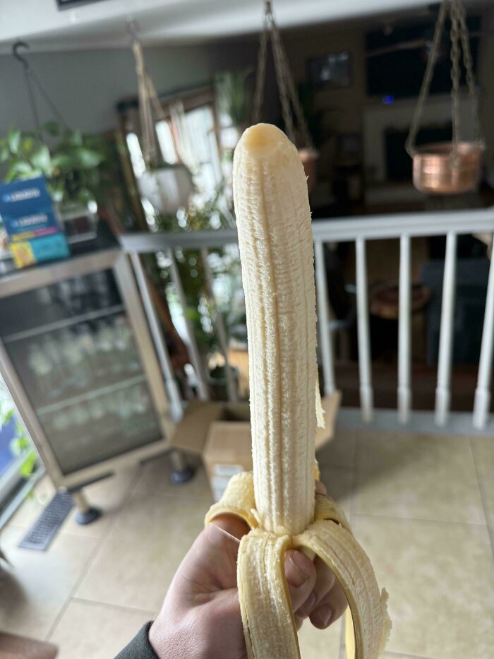 55 Huge Things You May Not Have Known Came In Such Big Sizes 55 Huge Things You May Not Have Known Came In Such Big Sizes