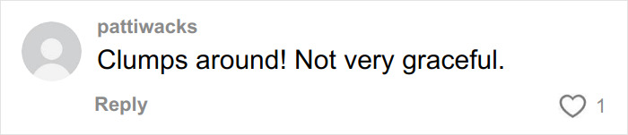 “Just Stomping Around”: Nicole Kidman’s Nepo Baby Daughter Brutally Roasted For Runway Walk