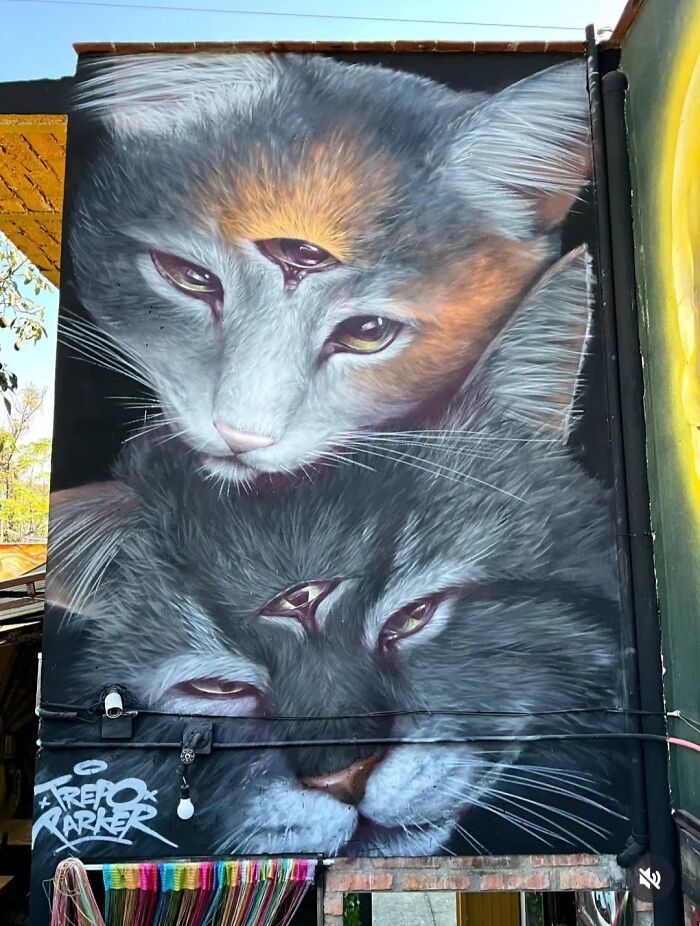 From Giant Murals To Hidden Gems: 50 Photos Of Lisbon&rsquo;s Urban Art That Reimagined The Entire Cityscape