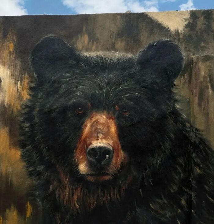 From Giant Murals To Hidden Gems: 50 Photos Of Lisbon&rsquo;s Urban Art That Reimagined The Entire Cityscape