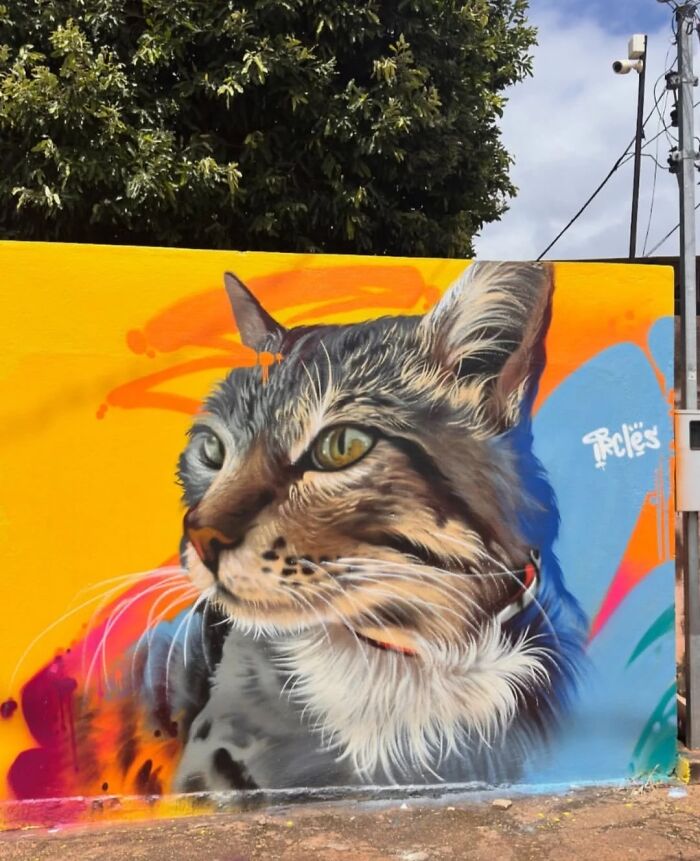 From Giant Murals To Hidden Gems: 50 Photos Of Lisbon&rsquo;s Urban Art That Reimagined The Entire Cityscape