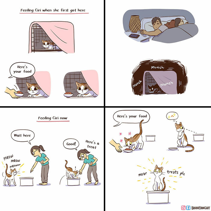 50 Clever Comics By Bonnie Pang That Perfectly Capture Modern Relationships