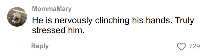 Italian Exchange Student Goes Viral After Host Mom Makes Him Eat At Olive Garden Italian Exchange Student Goes Viral After Host Mom Makes Him Eat At Olive Garden