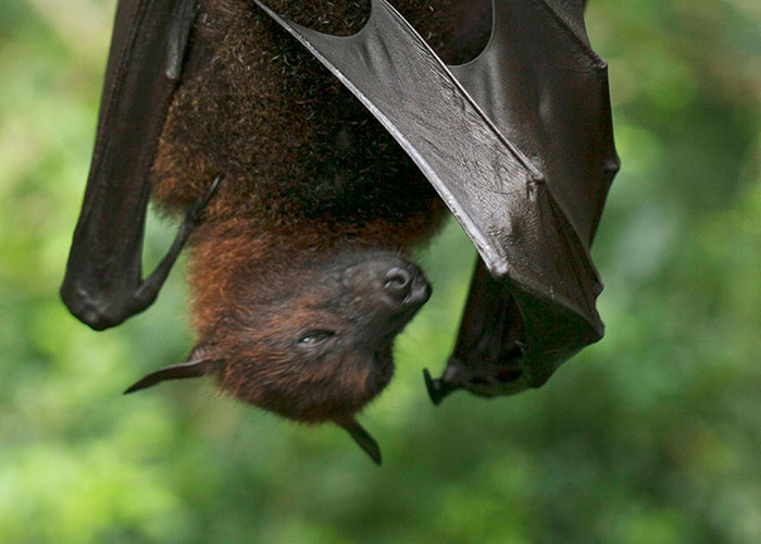 59 Times People&rsquo;s Sleep Was Disturbed By The Funniest Or Most Terrifying Reasons