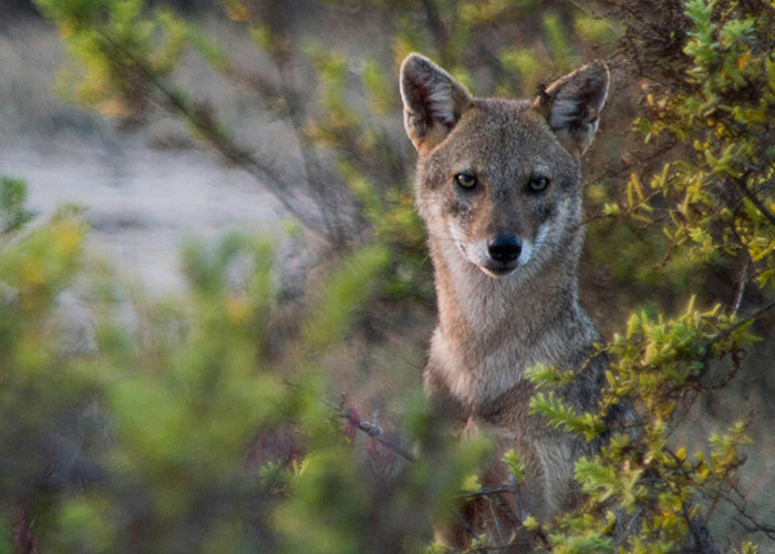 59 Times People&rsquo;s Sleep Was Disturbed By The Funniest Or Most Terrifying Reasons