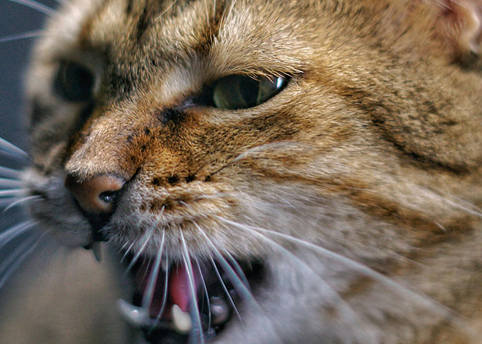 59 Times People&rsquo;s Sleep Was Disturbed By The Funniest Or Most Terrifying Reasons