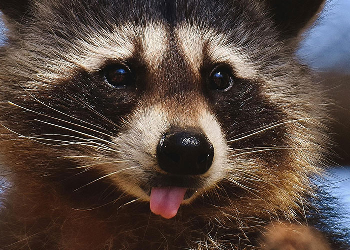 59 Times People&rsquo;s Sleep Was Disturbed By The Funniest Or Most Terrifying Reasons