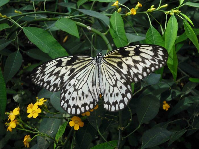 73 High-Quality Pics Showing Animals In All Their Glory