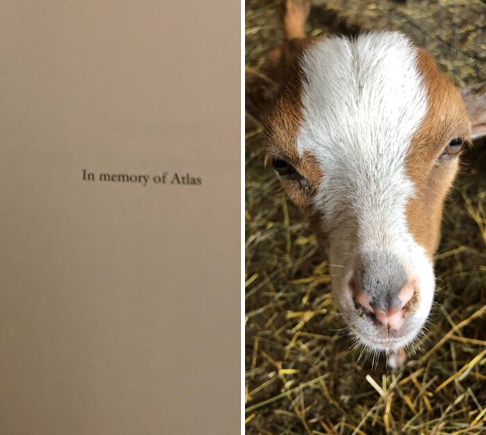 67 Friends Who Did Acts Of Kindness So Amazing It’s Hard To Believe 67 Friends Who Did Acts Of Kindness So Amazing It’s Hard To Believe