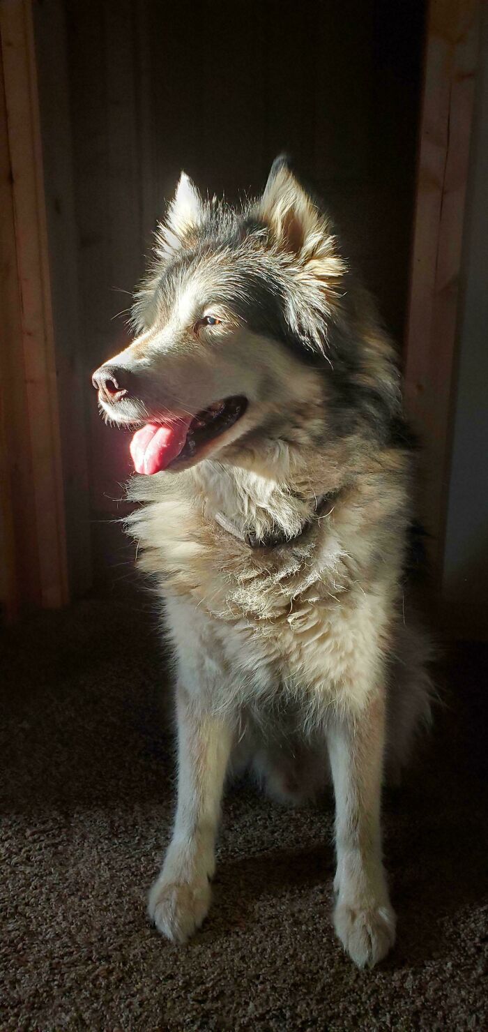 111 Times People Took A Photograph Only To Realize They’d Captured A Renaissance Masterpiece (New Pics) 111 Times People Took A Photograph Only To Realize They’d Captured A Renaissance Masterpiece (New Pics)