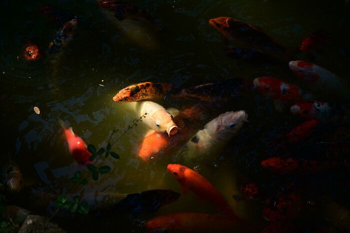 111 Times People Took A Photograph Only To Realize They’d Captured A Renaissance Masterpiece (New Pics) 111 Times People Took A Photograph Only To Realize They’d Captured A Renaissance Masterpiece (New Pics)