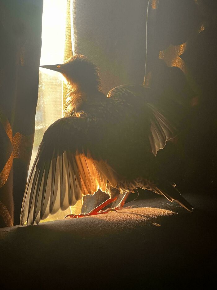 111 Times People Took A Photograph Only To Realize They’d Captured A Renaissance Masterpiece (New Pics) 111 Times People Took A Photograph Only To Realize They’d Captured A Renaissance Masterpiece (New Pics)