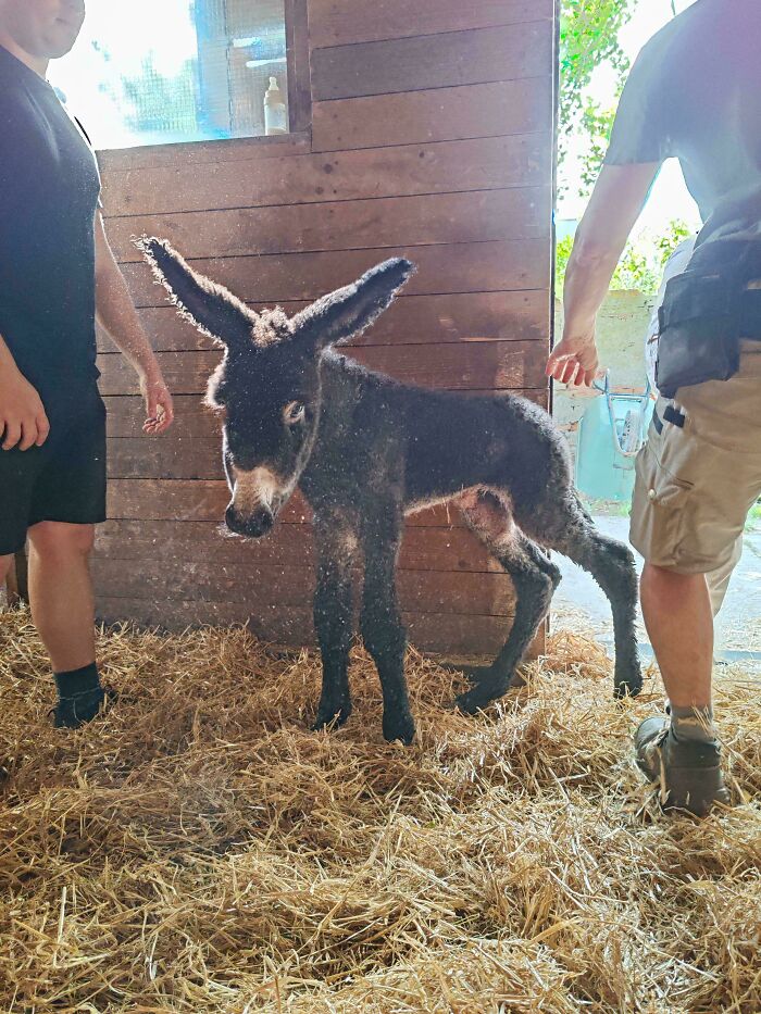 111 Times People Took A Photograph Only To Realize They’d Captured A Renaissance Masterpiece (New Pics) 111 Times People Took A Photograph Only To Realize They’d Captured A Renaissance Masterpiece (New Pics)