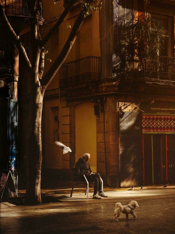 111 Times People Took A Photograph Only To Realize They’d Captured A Renaissance Masterpiece (New Pics) 111 Times People Took A Photograph Only To Realize They’d Captured A Renaissance Masterpiece (New Pics)