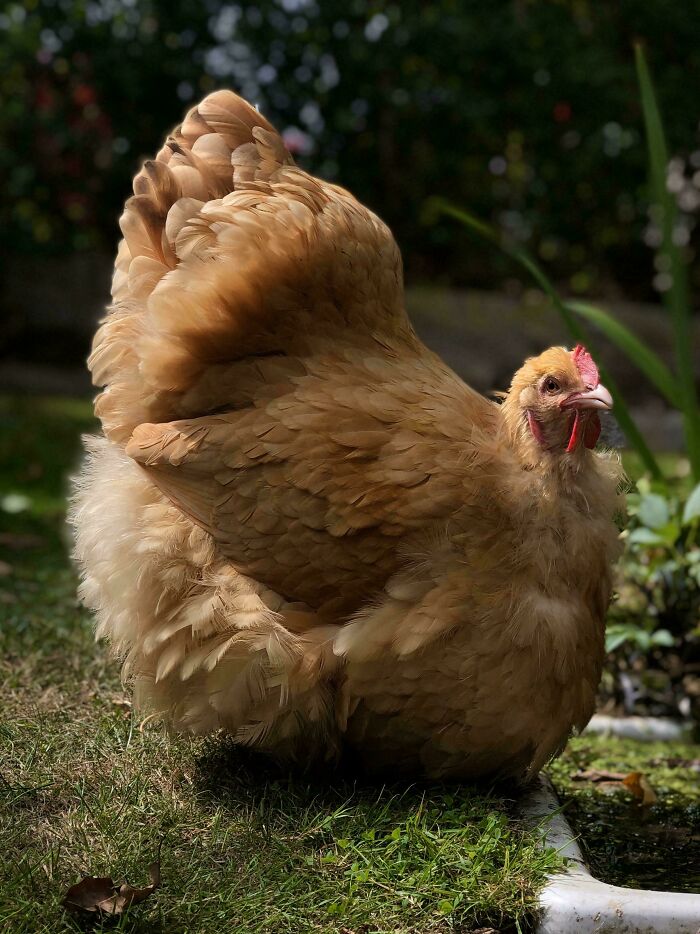 111 Times People Took A Photograph Only To Realize They’d Captured A Renaissance Masterpiece (New Pics) 111 Times People Took A Photograph Only To Realize They’d Captured A Renaissance Masterpiece (New Pics)