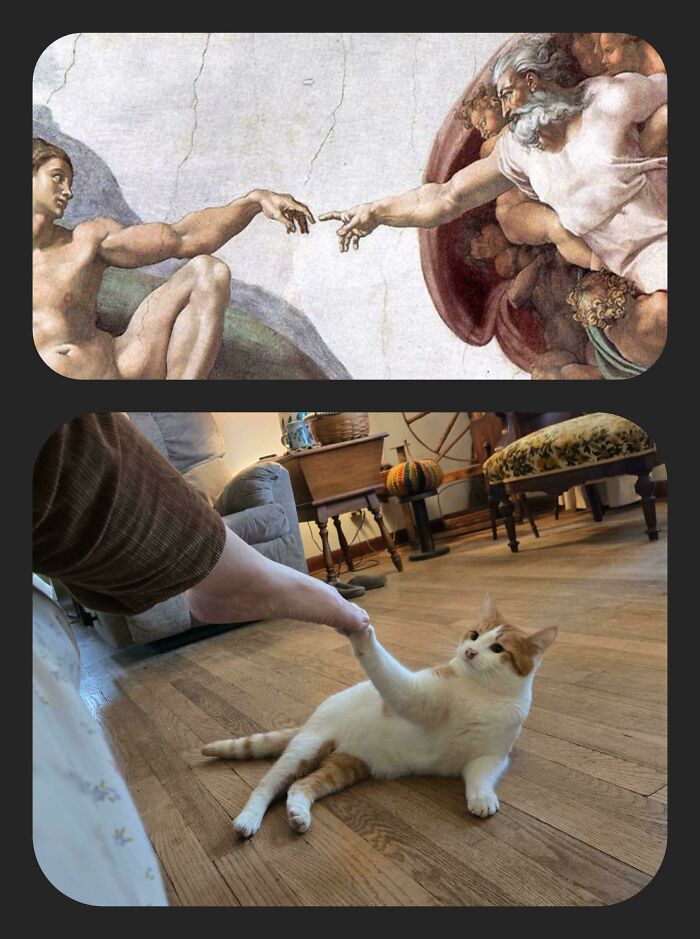 111 Times People Took A Photograph Only To Realize They’d Captured A Renaissance Masterpiece (New Pics) 111 Times People Took A Photograph Only To Realize They’d Captured A Renaissance Masterpiece (New Pics)