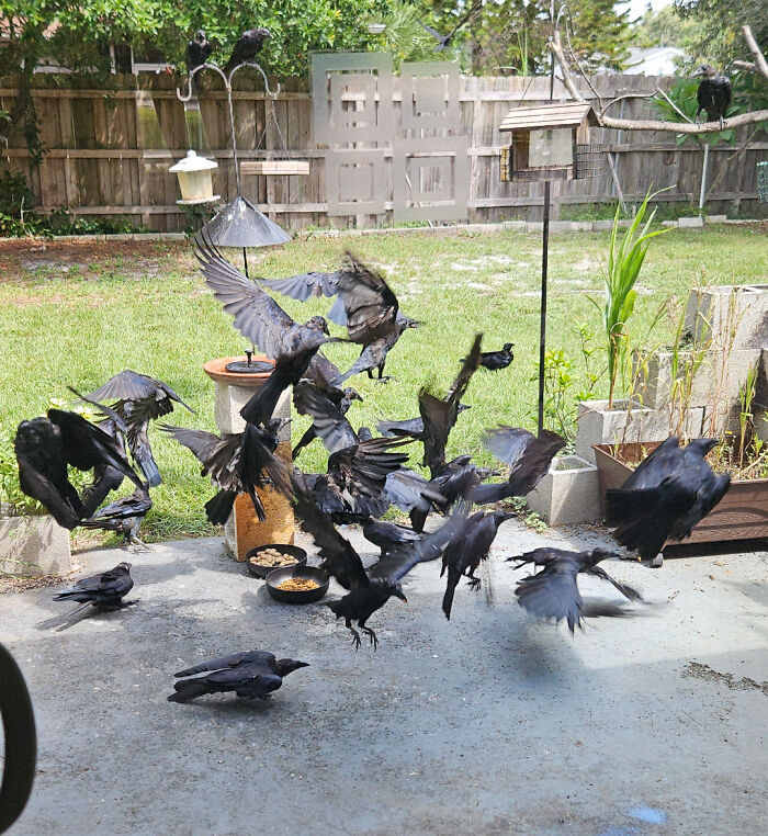 111 Times People Took A Photograph Only To Realize They’d Captured A Renaissance Masterpiece (New Pics) 111 Times People Took A Photograph Only To Realize They’d Captured A Renaissance Masterpiece (New Pics)