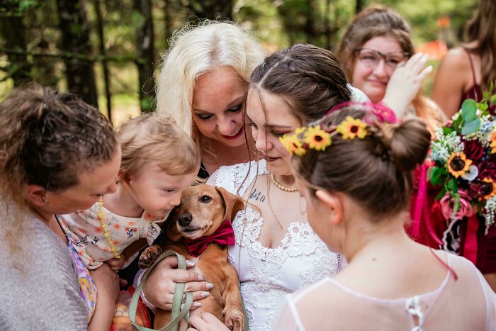 111 Times People Took A Photograph Only To Realize They’d Captured A Renaissance Masterpiece (New Pics) 111 Times People Took A Photograph Only To Realize They’d Captured A Renaissance Masterpiece (New Pics)