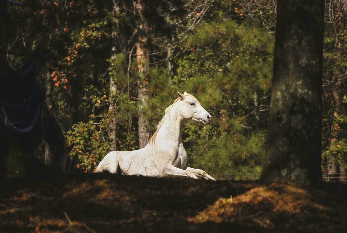 111 Times People Took A Photograph Only To Realize They’d Captured A Renaissance Masterpiece (New Pics) 111 Times People Took A Photograph Only To Realize They’d Captured A Renaissance Masterpiece (New Pics)