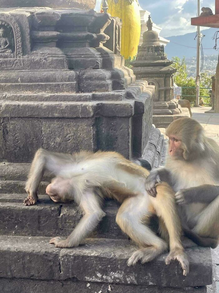 111 Times People Took A Photograph Only To Realize They’d Captured A Renaissance Masterpiece (New Pics) 111 Times People Took A Photograph Only To Realize They’d Captured A Renaissance Masterpiece (New Pics)