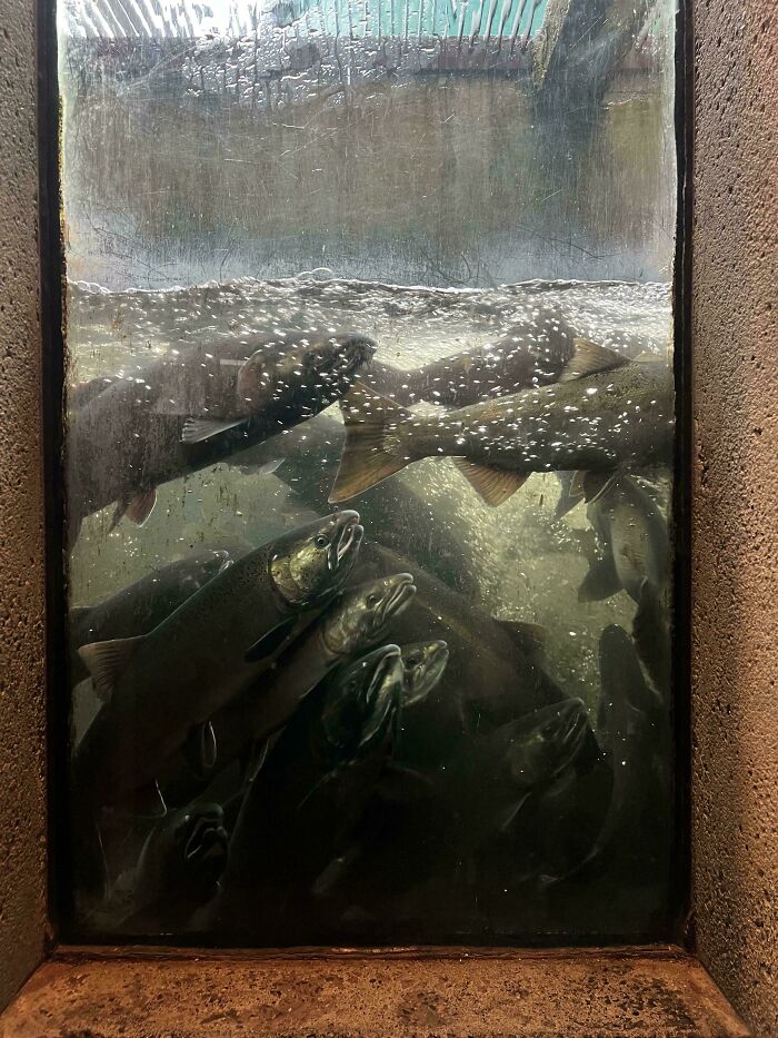 111 Times People Took A Photograph Only To Realize They’d Captured A Renaissance Masterpiece (New Pics) 111 Times People Took A Photograph Only To Realize They’d Captured A Renaissance Masterpiece (New Pics)