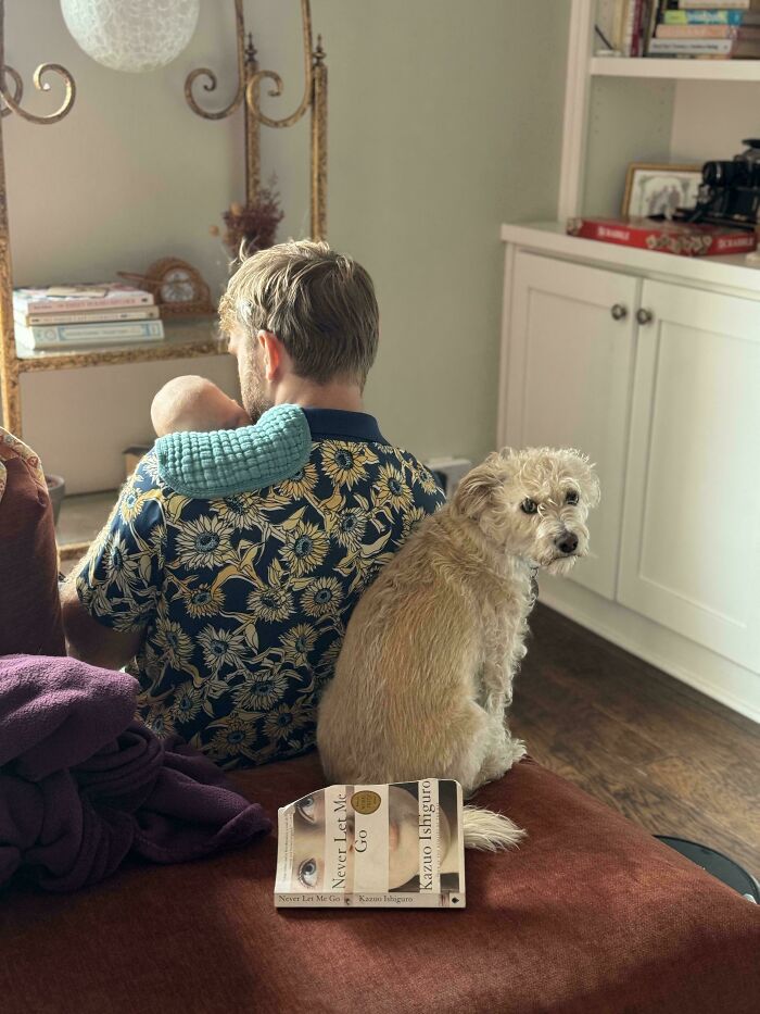 111 Times People Took A Photograph Only To Realize They’d Captured A Renaissance Masterpiece (New Pics) 111 Times People Took A Photograph Only To Realize They’d Captured A Renaissance Masterpiece (New Pics)