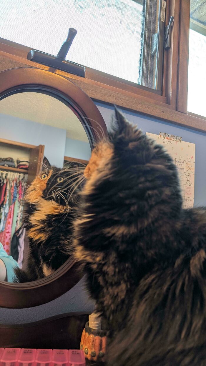 111 Times People Took A Photograph Only To Realize They’d Captured A Renaissance Masterpiece (New Pics) 111 Times People Took A Photograph Only To Realize They’d Captured A Renaissance Masterpiece (New Pics)